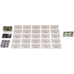 Настольная игра GaGa Кодовые имена. Дуэт