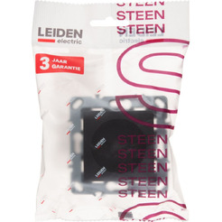Розетка Leiden Electric Steen 806070