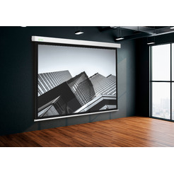 Проекционный экран CACTUS Motoscreen CS-PSM-127X127