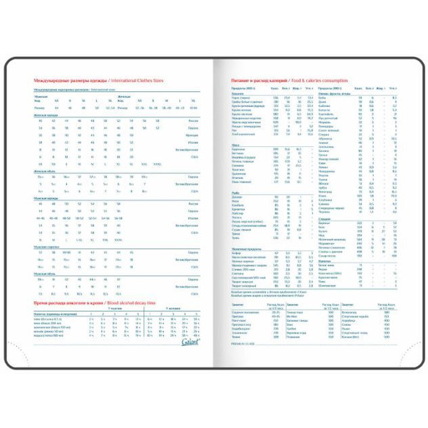 Ежедневник GALANT недатированный Ritter 114465 (красный)