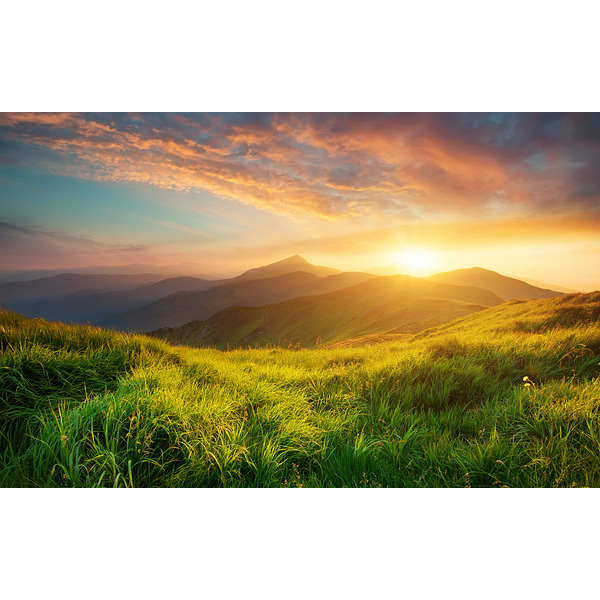 Холодильник Hansa BK316.3AA