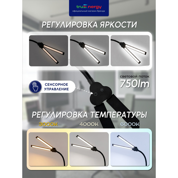 Светильник TRUENERGY TASK 29552