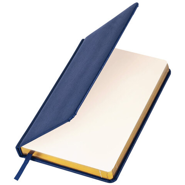 Ежедневник недатированный BRAUBERG Iguana 125091