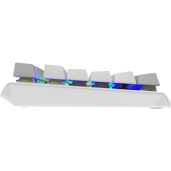 Клавиатура A4Tech Fstyler FS100 Neon (серебристый/серый)