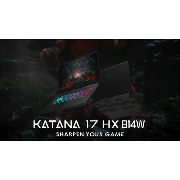 Игровой ноутбук MSI Katana 17 HX B14WGK-274X