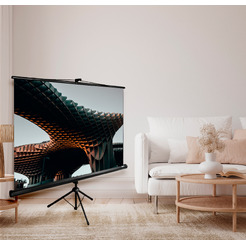 Экран CACTUS TriExpert CS-PSTE-220X165-BK