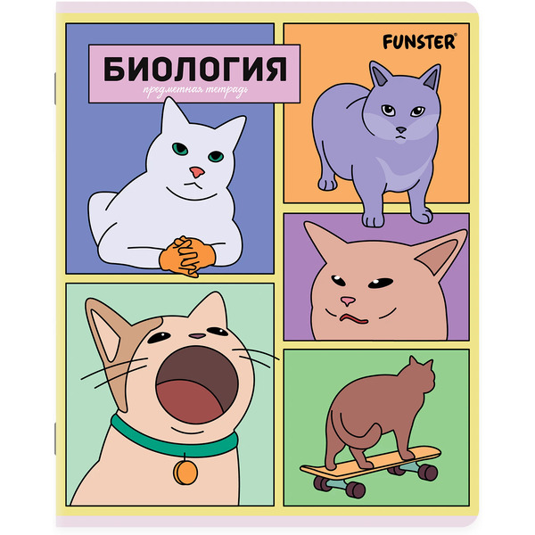 Тетради предметные Funster Мемные коты 405604 (12 шт)