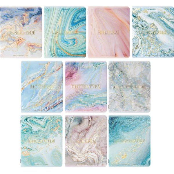 Тетради предметные BRAUBERG 404031 (КОМПЛЕКТ 10 ПРЕДМЕТОВ, 48л, SoftTouch, фольга)