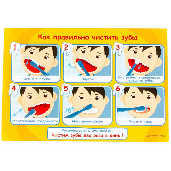 Набор Полесье "Три Кота" "Стоматолог" (15 элементов) 6654