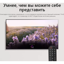 Телевизор LG 32LQ63806LC