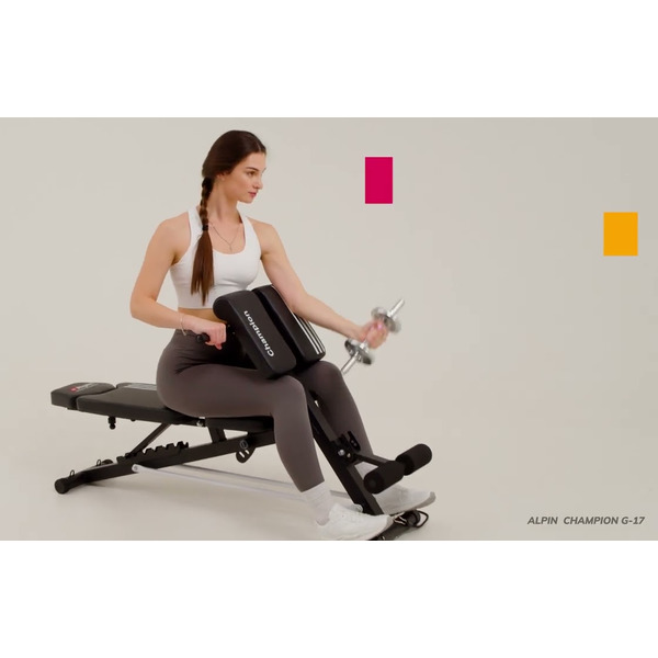 Скамья спортивная Alpin Champion G-17