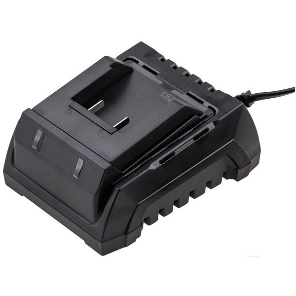 Зарядное устройство Tesla TCH60 (597900)