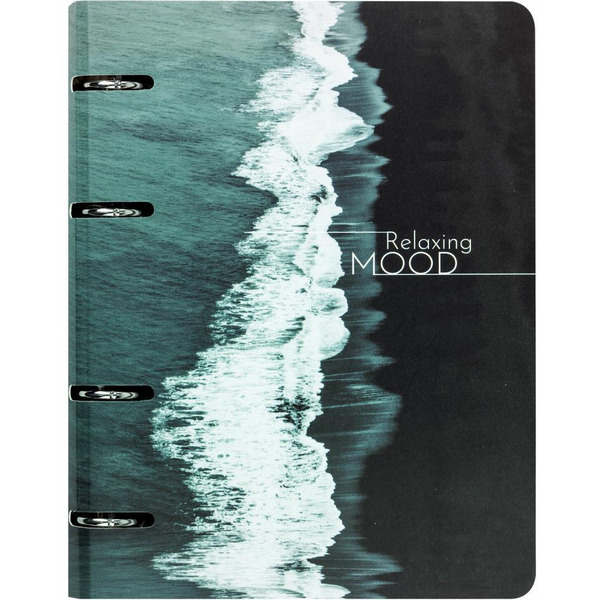 Тетрадь BRAUBERG 404725 на кольцах А5 160х212мм, 120л, картон,матовая ламинация, клетка