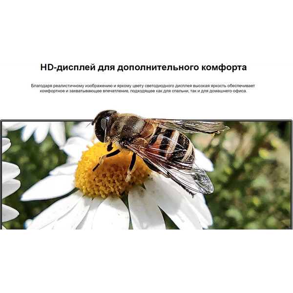 Телевизор Xiaomi Mi TV P1 32 ELA4614GL (L32M6-6ARG)