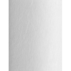 Картридж Гейзер PP10 20BB