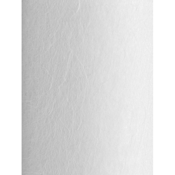 Картридж Гейзер PP10 20BB