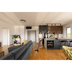 Пылесос GORENJE SVC259441NFGO