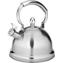 Чайник со свистком ASTIAT AST-1077