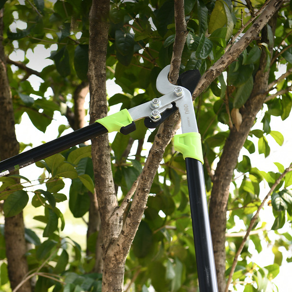 Сучкорез Deli EDL580321