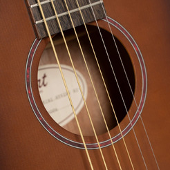 Гитара акустическая Cort Earth-GO-OPBB