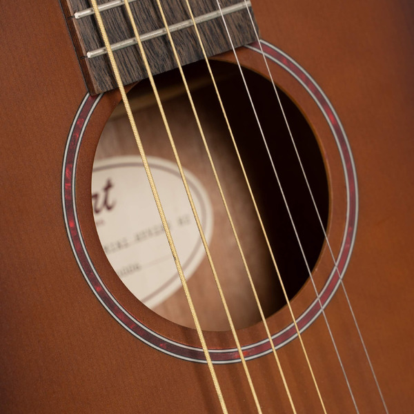 Гитара акустическая Cort Earth-GO-OPBB