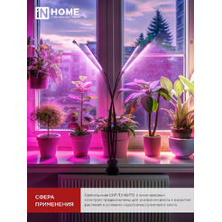 Светильник настольный на прищепке светодиодный IN HOME СНП-Т2-ФИТО 4П40 (4690612053554)