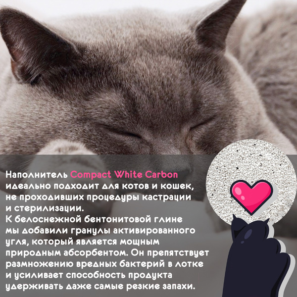 Наполнитель для туалета Cat Step Compact White Carbon 20313015 (10л/8.40кг)