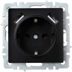 Розетка IEK BRITE BR-R14-16-U21-D21-K53