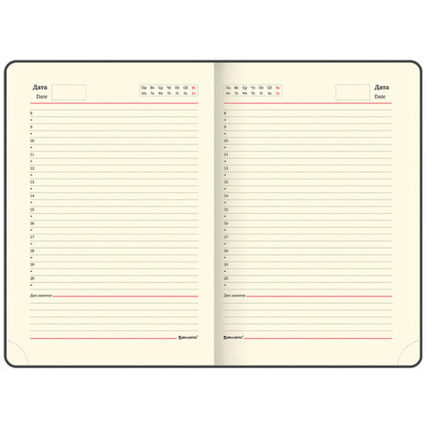 Ежедневник недатированный BRAUBERG Iguana 125089