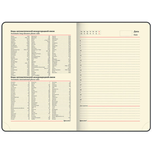 Ежедневник BRAUBERG недатированный Iguana 114456 (лиловый)