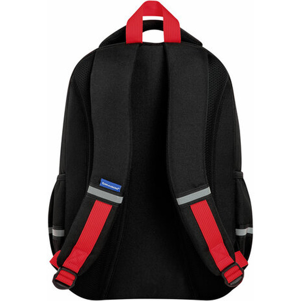 Рюкзак BRAUBERG Calm capy 272032