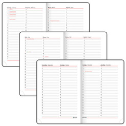 Ежедневник недатированный BRAUBERG Favorite 123396