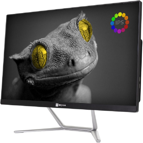 Моноблок Тесла Z24B 2416500