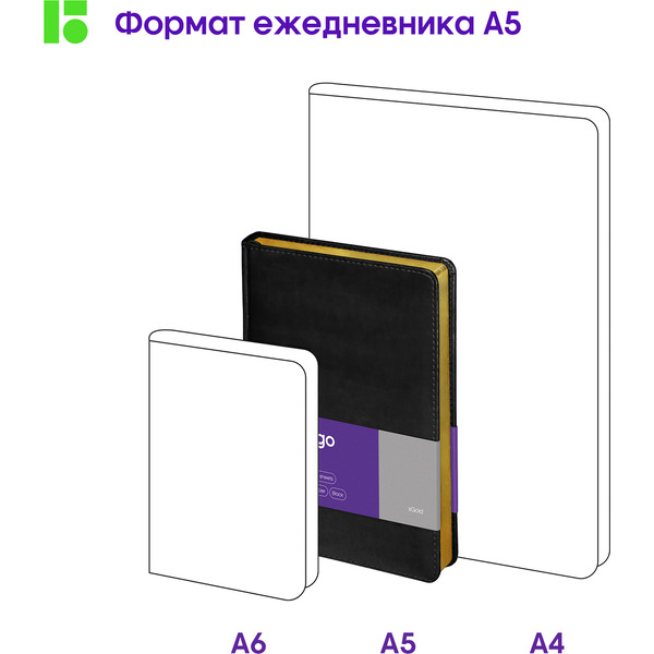 Ежедневник Berlingo xGold UD0 81505 (160л, черный)