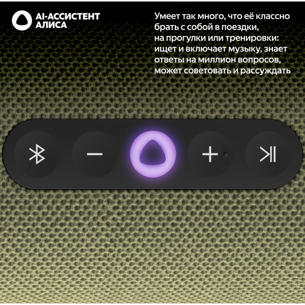 Портативная Умная колонка Яндекс.Станция Стрит YNDX-00030GRN (зеленый)