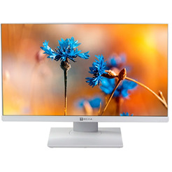 Моноблок Тесла P24WP 2416500