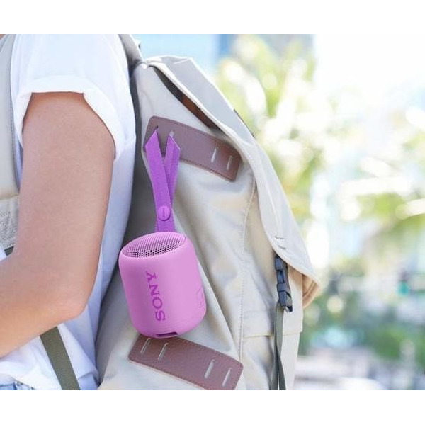 Портативная акустическая система SONY SRS-XB12V (фиолетовый)