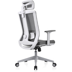 Кресло компьютерное EVOLUTION ERGO BLISS Grey