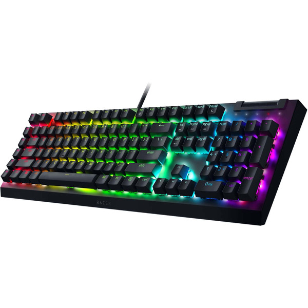Игровая клавиатура RAZER BlackWidow V4 X Green Switch (RZ03-04700800-R3R1)