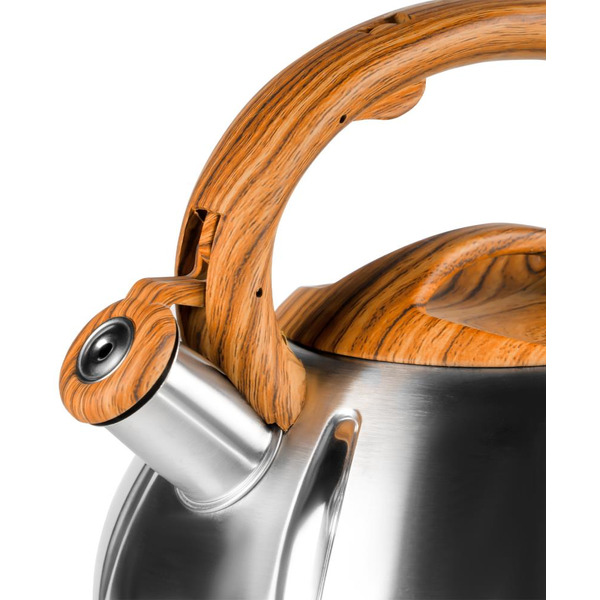 Чайник со свистком Galaxy Line GL9206