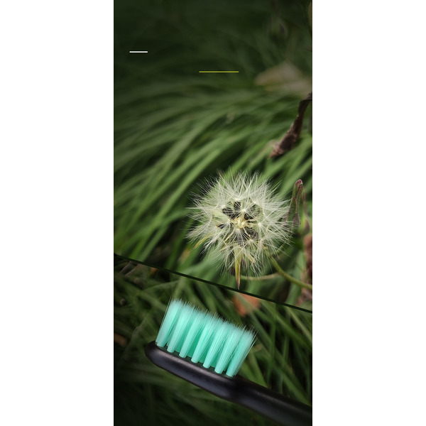 Электрическая зубная щетка Enchen Aurora T2 (черный)