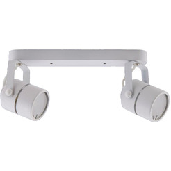 Точечный светильник TruEnergy Focus 21354