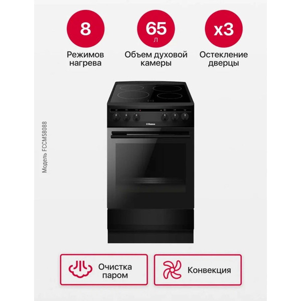Кухонная плита Hansa FCCM58088