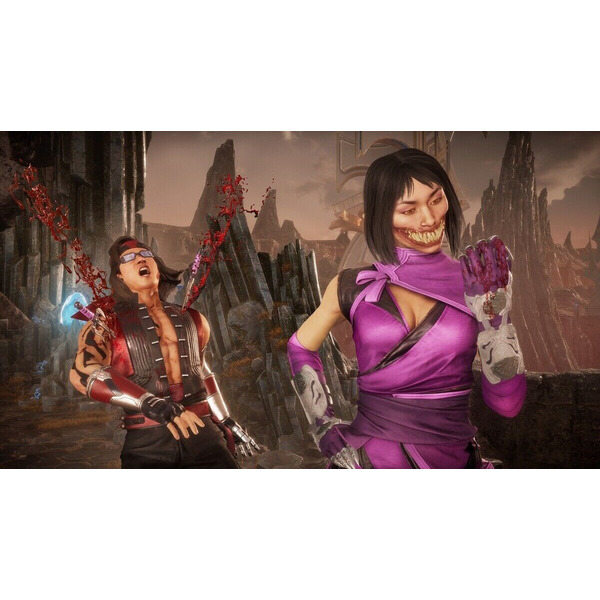 Игра Mortal Kombat 11 Ultimate для PlayStation 4 (русские субтитры)