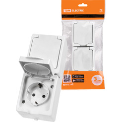 Розетка TDM Вуокса SQ1803-1009