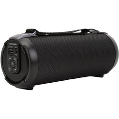 Портативная аудиосистема Telefunken TF-PS1243B (черный)