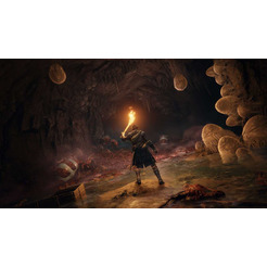 Игра Elden Ring для PS4 [русские субтитры]