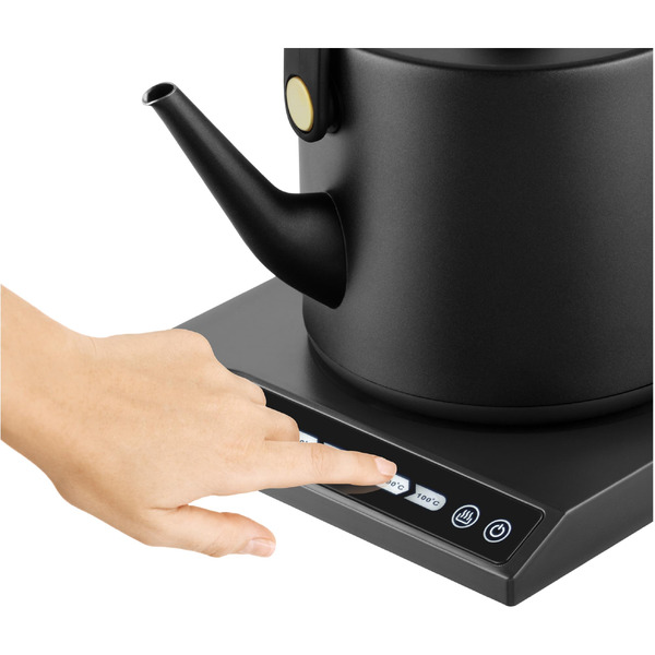 Электрочайник Catler BM 501 Victoria